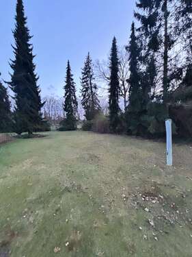 Foto - Grundstück zu verkaufen in Wedemark 178.000,00 € 445 m²