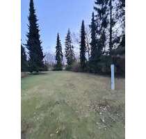 Grundstück zu verkaufen in Wedemark 178.000,00 € 445 m²