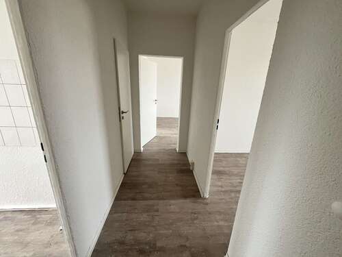 Foto - Wohnung zum Mieten in Bad Düben 320,00 € 58 m²