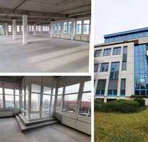 Halle in Wiedemar 3.133,00 € 696.33 m²