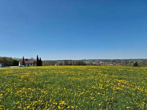 Foto - Grundstück zu verkaufen in Ziemetshausen 338.000,00 € 1643 m²