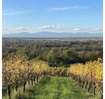 Wohnung zum Mieten in Bad Bellingen 1.280,00 € 73.69 m²