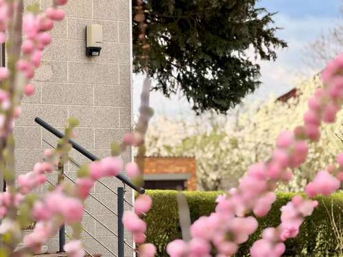 Foto - Haus zum Kaufen in Angermünde 235.000,00 € 130 m²