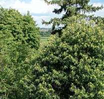 Wohnung zum Mieten in Saarlouis 590,00 € 75 m² Wohnung zum Mieten in Saarlouis 590,00 € 75 m²