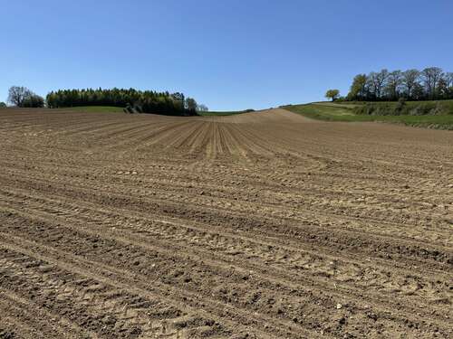 Foto - Grundstück in Mamming 427.155,00 € 28477 m²