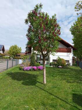 Foto - Haus zum Kaufen in Bad Füssing 449.000,00 € 231 m²
