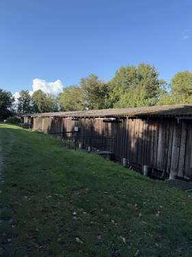 Foto - Garage zu verkaufen in Südmüritz 45.000,00 € 60 m²