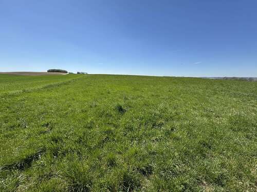 Foto - Grundstück in Mamming 136.350,00 € 9090 m²