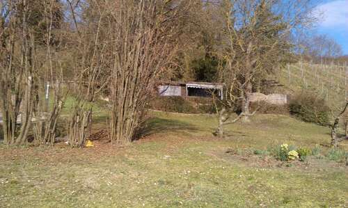 Foto - Grundstück in Buchbrunn 95.000,00 € 3082 m²