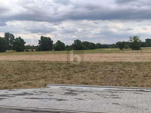 Foto - Grundstück zu verkaufen in Dreiheide 91.080,00 € 990 m²