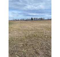 Grundstück in Übersee 52.000,00 € 16650 m²