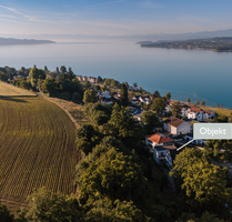 Haus zum Kaufen in Überlingen 3.899.000,00 € 353.5 m²