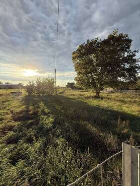 Foto - Grundstück zu verkaufen in Trebbin 149.000,00 € 903 m²