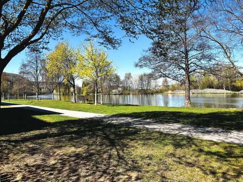 Foto - Haus zum Kaufen in Eltmann 520.000,00 € 250 m²