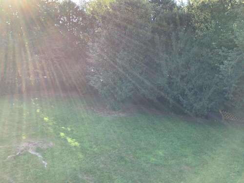 Foto - Wohnung zum Mieten in Recklinghausen 540,00 € 77.86 m²