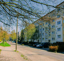 Wohnung zum Mieten in Prenzlau 410,00 € 60.8 m²