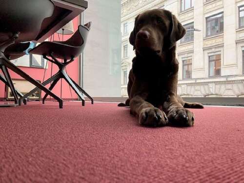 Foto - Büro in Hamburg 1.500,00 € 33 m²
