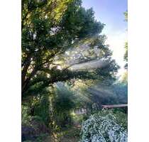 Grundstück zu verkaufen in Wiesbaden 58.000,00 € 1589 m²