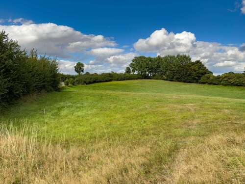 Foto - Grundstück zu verkaufen in Barkelsby 375.000,00 € 15209 m²