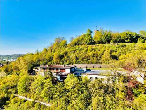 Foto - Haus zum Kaufen in Eltmann 990.000,00 € 850 m²