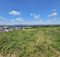 Grundstück zu verkaufen in Budenheim 345.000,00 € 476 m²