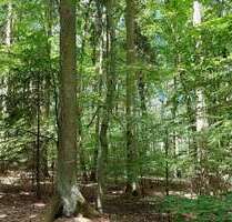 Grundstück in Kelheim 140.000,00 € 20000 m²