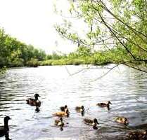 Wohnung zum Kaufen in Hamburg 599.900,00 € 67 m²