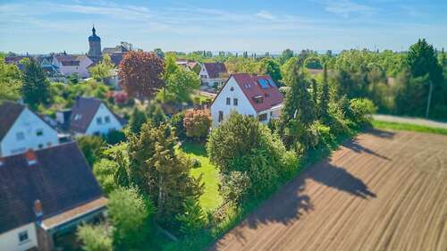 Foto - Haus zum Kaufen in Billigheim-Ingenheim 949.000,00 € 259 m²