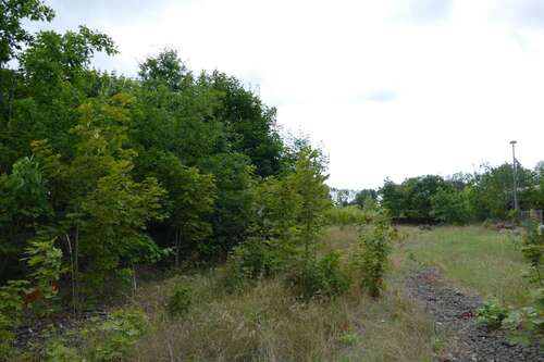 Foto - Grundstück zu verkaufen in Ludwigslust 700.000,00 € 20727 m²