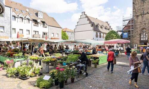 Foto - Haus zum Kaufen in Schwerte 489.000,00 € 511 m²