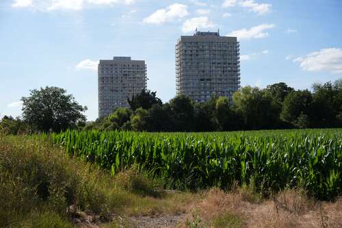 Foto - Wohnung zum Kaufen in Ludwigshafen am Rhein 160.000,00 € 67 m²