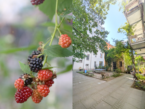 Foto - Wohnung zum Kaufen in Berlin 525.300,00 € 85 m²