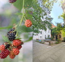 Wohnung zum Kaufen in Berlin 525.300,00 € 85 m²