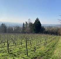 Grundstück zu verkaufen in Wiesbaden Schierstein 65.000,00 € 1052 m² - Wiesbaden / Schierstein