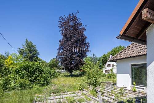 Foto - Grundstück zu verkaufen in Grünwald 2.650.000,00 € 1177 m²