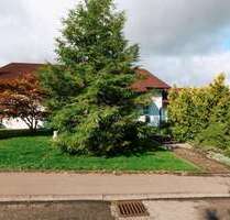 Wohnung zum Mieten in Sulz-Bergfelden 590,00 € 60 m²