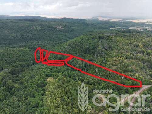Foto - Grundstück in Blankenburg 19.900,00 € 25888 m²