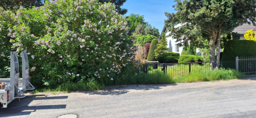 Foto - Grundstück zu verkaufen in Schönwalde-Glien 500.000,00 € 1626 m²