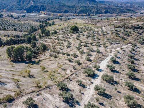 Foto - Grundstück zu verkaufen in Jayena 192.600,00 € 181204 m²