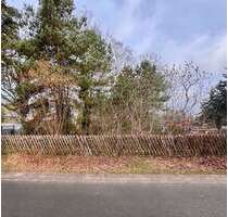 Grundstück zu verkaufen in Wandlitz OT Klosterfelde 185.000,00 € 1001 m² - Wandlitz/ OT Klosterfelde