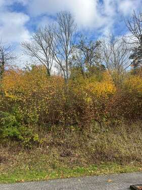 Foto - Grundstück zu verkaufen in Bad Neuenahr 120.000,00 € 315 m²