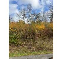 Grundstück zu verkaufen in Bad Neuenahr 120.000,00 € 315 m²