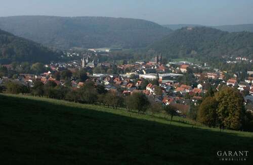 Foto - Grundstück zu verkaufen in Amorbach 265.000,00 € 4080 m²