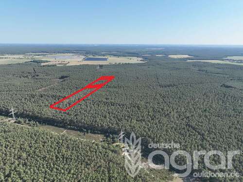 Foto - Grundstück in Beelitz 19.900,00 € 28279 m²