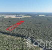 Grundstück in Beelitz 19.900,00 € 28279 m²