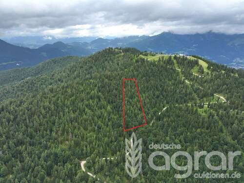 Foto - Grundstück in Ramsau 46.900,00 € 17680 m²