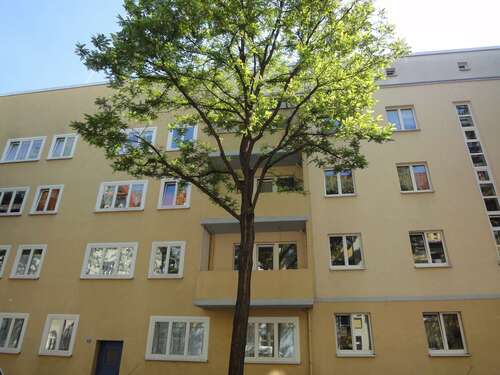 Foto - Wohnung zum Mieten in Erfurt 850,00 € 92 m²
