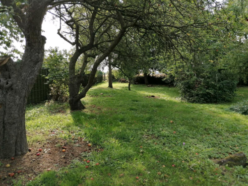 Foto - Grundstück zu verkaufen in Kühlungsborn 315.000,00 € 950 m²