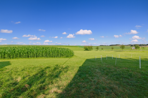 Foto - Grundstück zu verkaufen in Freising 595.000,00 € 703 m²