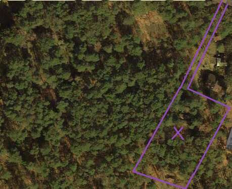 Foto - Grundstück zu verkaufen in Dierstorf Heide (Wenzendorf) 295.000,00 € 2841 m²